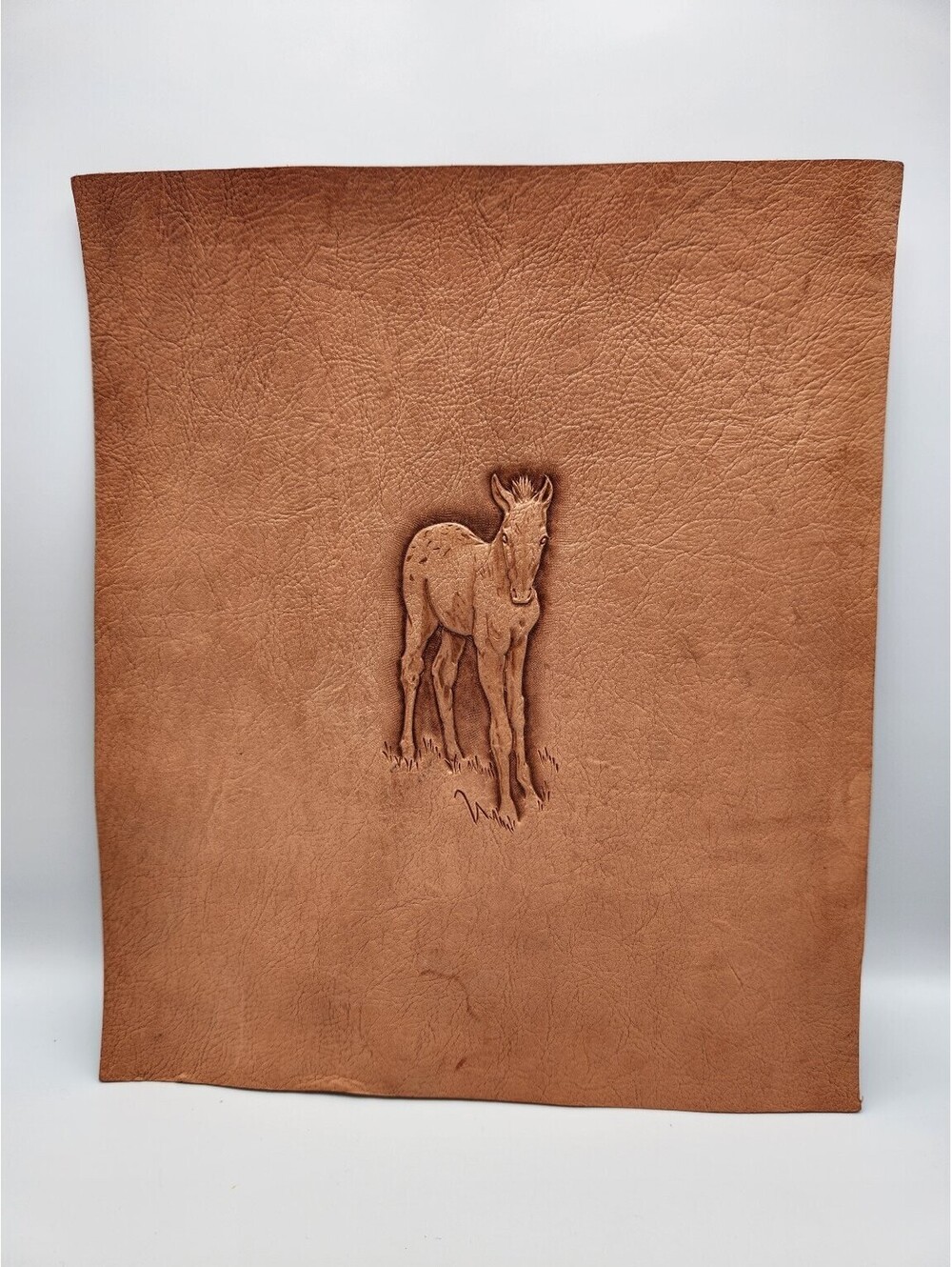 Leathercraft Embossed Foal Panel Tan Cowhide Leather Piece 14"x13" - F3